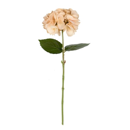 Vickerman 18 in. Beige Hydrangea Spray FD180180
